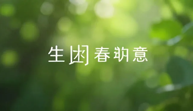 内容分发中的两种做法对比及实际取舍分析